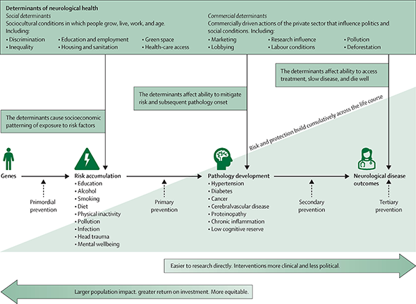 Figure showing the social and commercial determinants of health