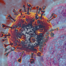 Image for vaccine blog