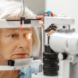 Make vision loss screening and treatment accessible to reduce dementia risk.