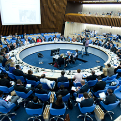 WHO Health and Climate Conference, WHO Headquarters. 